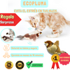 Ecopluma -materiales no tóxicos, resistentes y seguros para tus gatos🐱